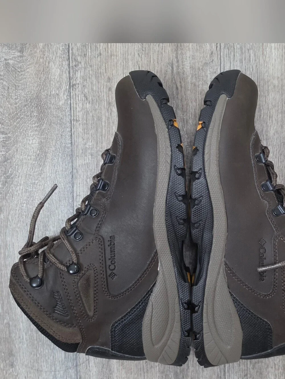Columbia men newton
